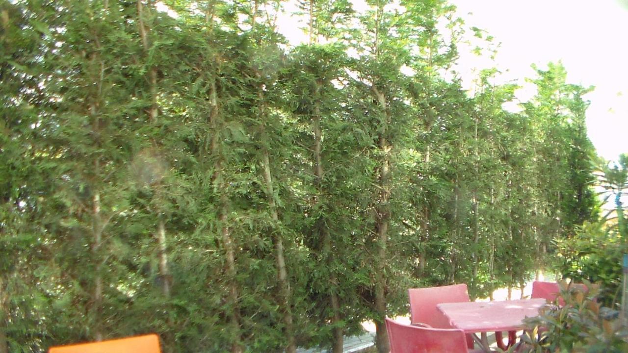 Shkoder Hotel Temali Eksteriør bilde